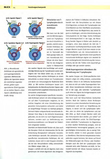 Dokument 1.pdf - OPUS - Universität Würzburg