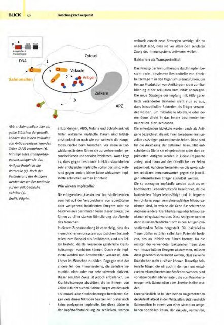 Dokument 1.pdf - OPUS - Universität Würzburg