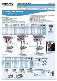 Touret à meuler 400V Triphasé Gamme Pro TM200T SIDAMO 20113108