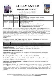 Informationsblatt Kollmann 26.06.2011 (154 KB) - .PDF - Gemeinde ...