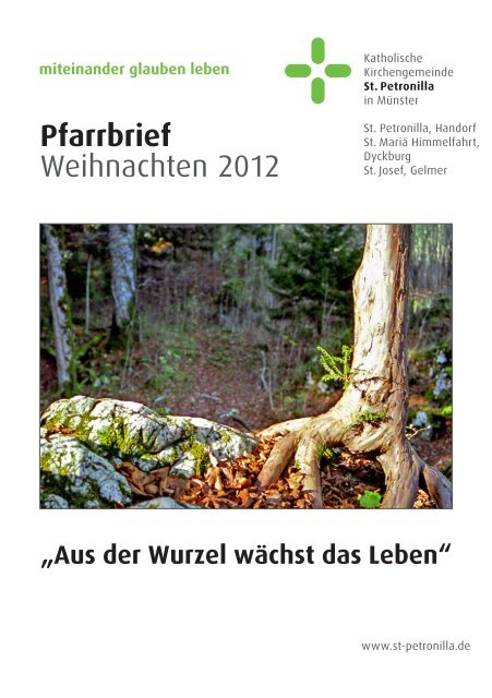 Pfarrbrief Weihnachten 2012 - Kath. Kirchengemeinde St. Petronilla