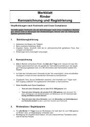 Merkblatt Rind - Landkreis Kaiserslautern