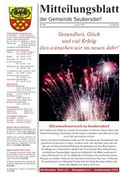 Mitteilungsblatt Ausgabe Januar 2013 - Seubersdorf