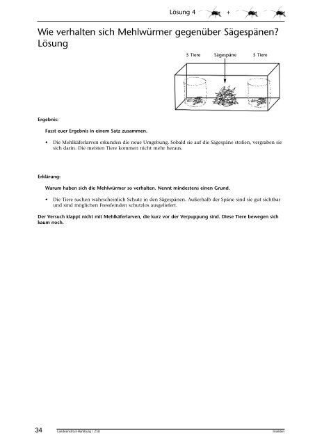 Insekten beobachten, analysieren und schlussfolgern