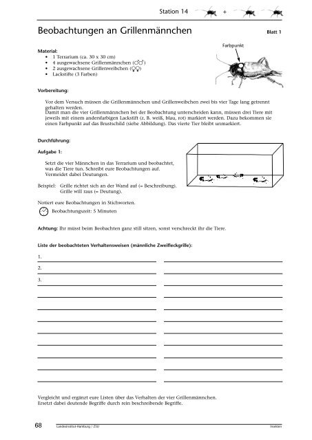 Insekten beobachten, analysieren und schlussfolgern