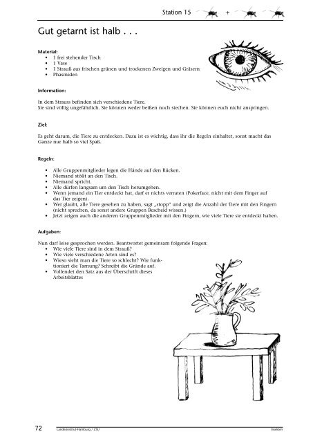 Insekten beobachten, analysieren und schlussfolgern