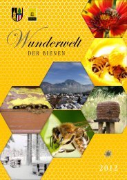 Wunderwelt der Bienen - Altmünster