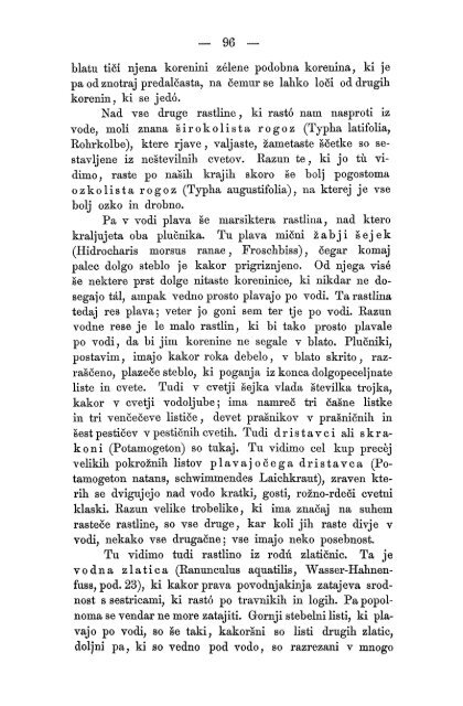 Matica Slovenska v Ljubljani. 1867.