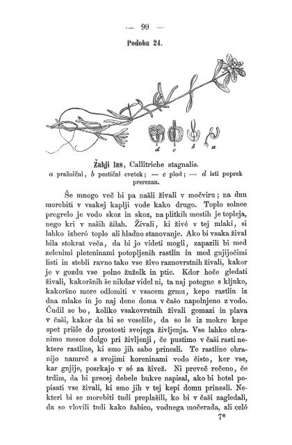 Matica Slovenska v Ljubljani. 1867.