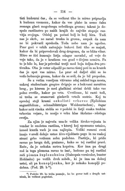 Matica Slovenska v Ljubljani. 1867.