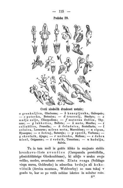 Matica Slovenska v Ljubljani. 1867.