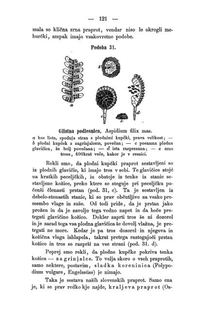 Matica Slovenska v Ljubljani. 1867.