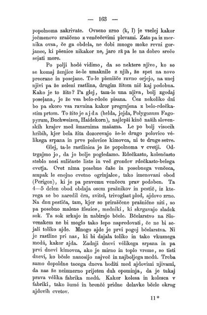 Matica Slovenska v Ljubljani. 1867.