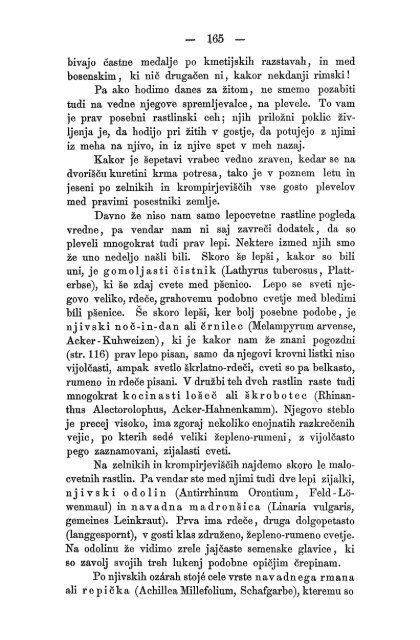 Matica Slovenska v Ljubljani. 1867.