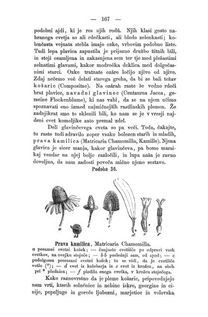 Matica Slovenska v Ljubljani. 1867.