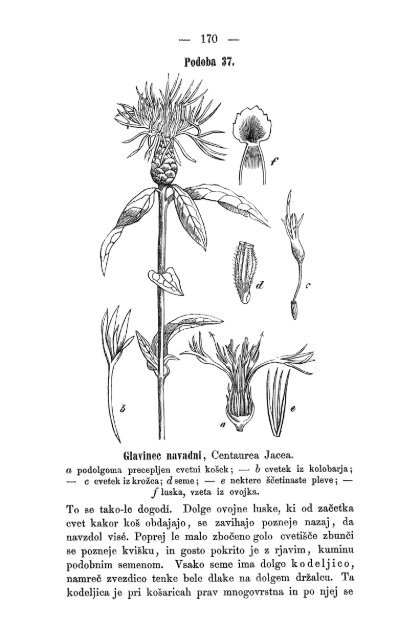 Matica Slovenska v Ljubljani. 1867.