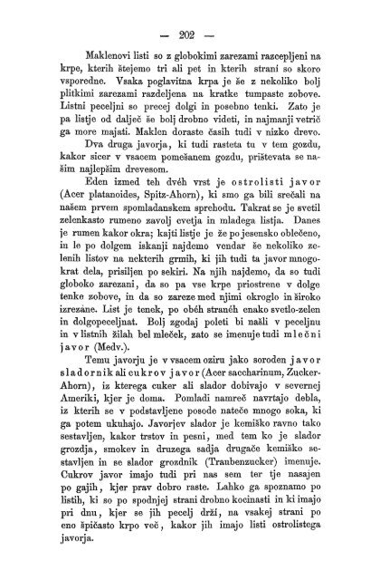 Matica Slovenska v Ljubljani. 1867.