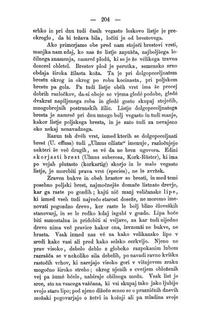 Matica Slovenska v Ljubljani. 1867.