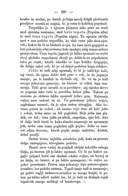 Matica Slovenska v Ljubljani. 1867.