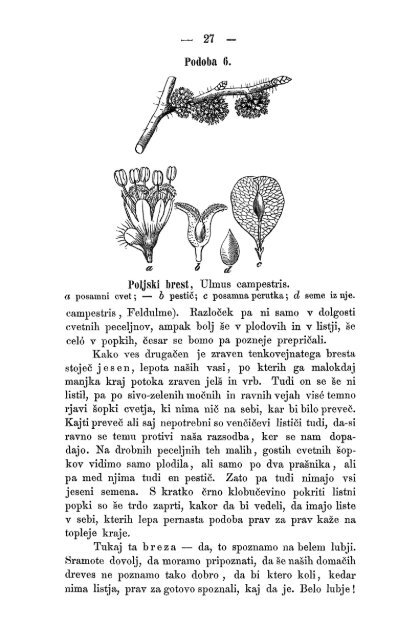 Matica Slovenska v Ljubljani. 1867.