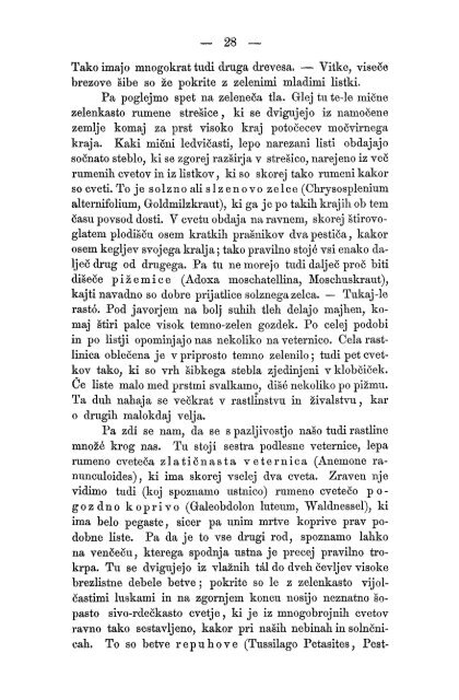 Matica Slovenska v Ljubljani. 1867.