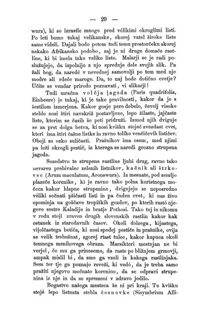 Matica Slovenska v Ljubljani. 1867.