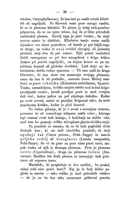 Matica Slovenska v Ljubljani. 1867.