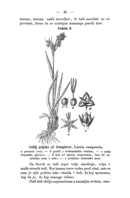 Matica Slovenska v Ljubljani. 1867.