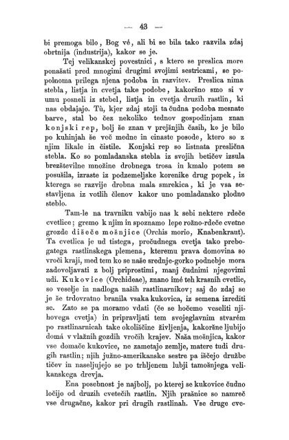 Matica Slovenska v Ljubljani. 1867.