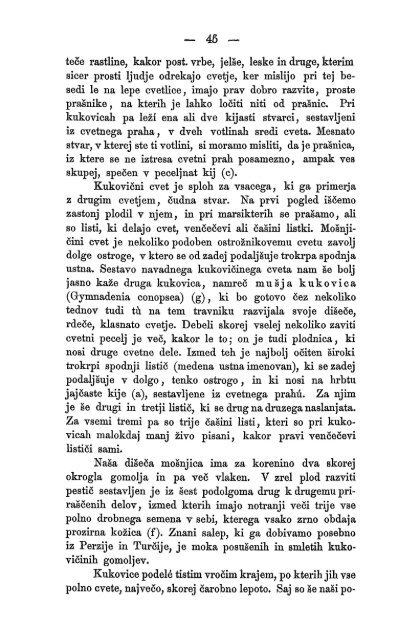 Matica Slovenska v Ljubljani. 1867.