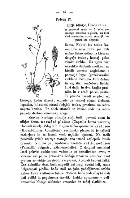 Matica Slovenska v Ljubljani. 1867.