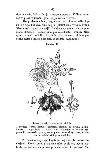 Matica Slovenska v Ljubljani. 1867.