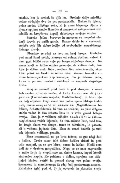 Matica Slovenska v Ljubljani. 1867.