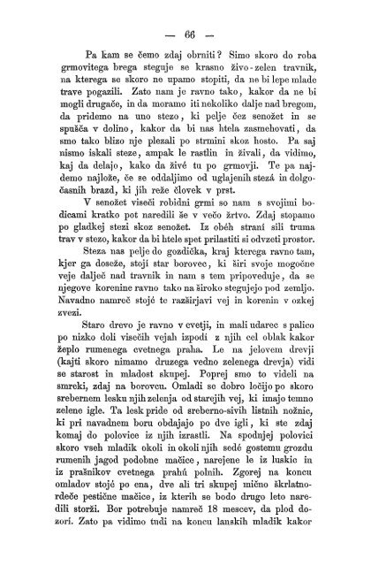 Matica Slovenska v Ljubljani. 1867.