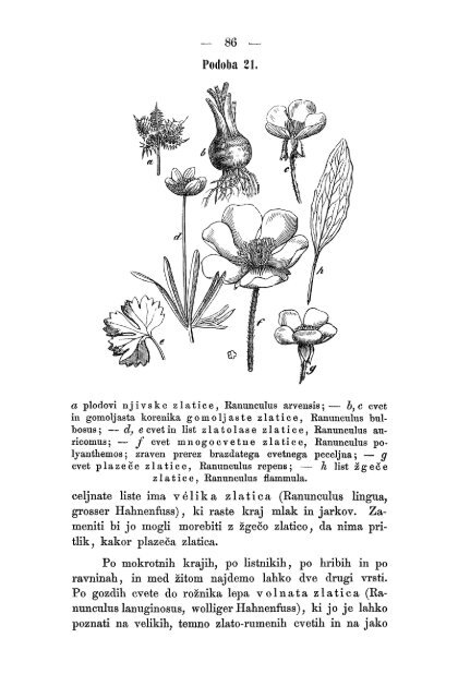 Matica Slovenska v Ljubljani. 1867.