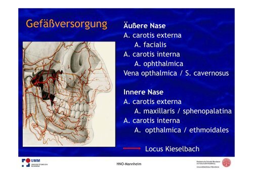 PDF hier herunterladen - HNO-Gemeinschaftspraxis am Kreisel