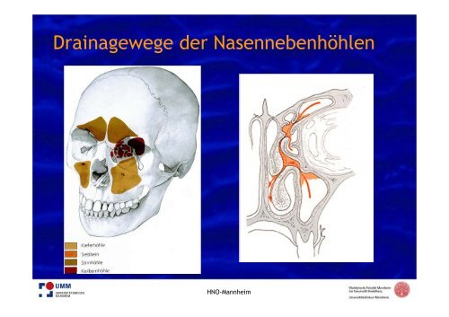 PDF hier herunterladen - HNO-Gemeinschaftspraxis am Kreisel