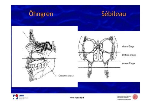 PDF hier herunterladen - HNO-Gemeinschaftspraxis am Kreisel