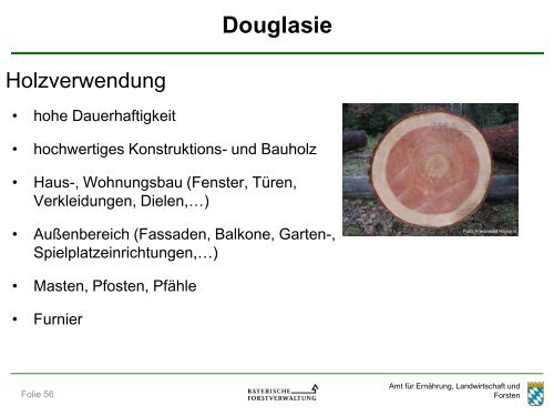 Folie 1 - Amt für Ernährung, Landwirtschaft und Forsten Augsburg ...