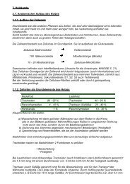 2. Holzkunde 2.1. Anatomischer Aufbau des Holzes 2.1.1. Aufbau ...