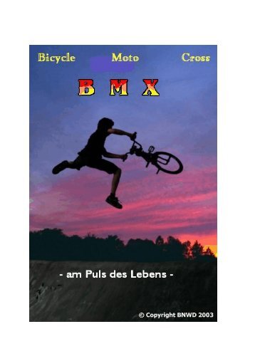 BMX-Helene Model