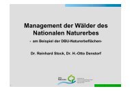 Management der Wälder des Nationalen Naturerbes