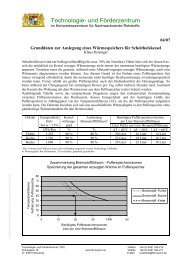 Grunddaten zur Auslegung eines Wärmespeichers - Technologie ...
