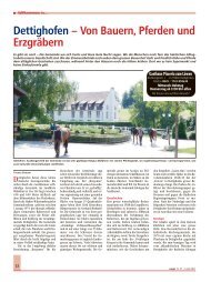 Dettighofen – Von Bauern, Pferden und Erzgräbern