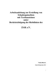 Tobias Metzner/Michael Teßin (Richtlinien Gutachtenerstellung) - Zak