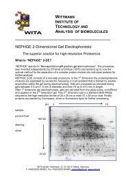 NEPHGE 2-Dimensional Gel Electrophoresis