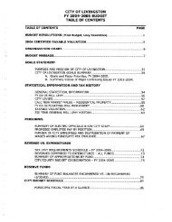 FY 2004-05 Line Item Budget - City of Livingston, Montana