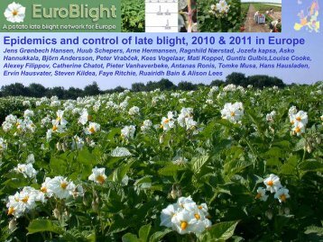 Epidemics and control of late blight, 2010 & 2011 in ... - EuroBlight