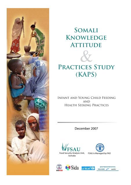 Somali Knowledge Attitude Practices Study (KAPS) - EthnoMed