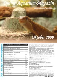 OAM Ausgabe Oktober 2009 - Online Aquarium-Magazin